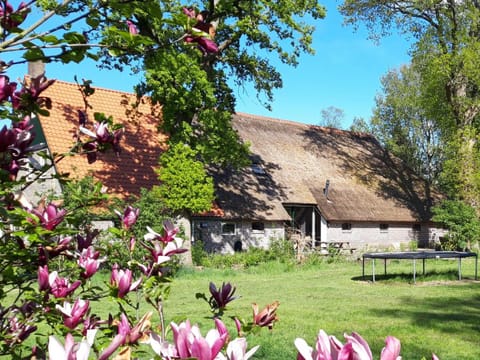 Facade/entrance, Natural landscape