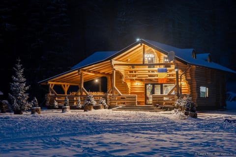 Night, Winter, Landmark view
