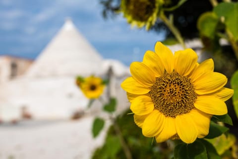 Masseria Mezza Ruota Apartment in Province of Taranto
