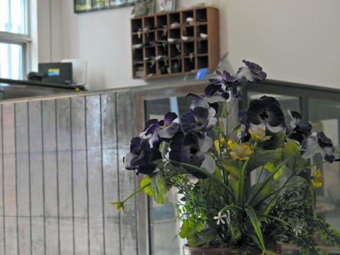 Don Luis Hostal - Sucursal Hidalgo - Tecolutla Hotel in Tecolutla