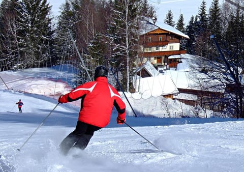 Natural landscape, Bird's eye view, Winter, Skiing, On site, Mountain view