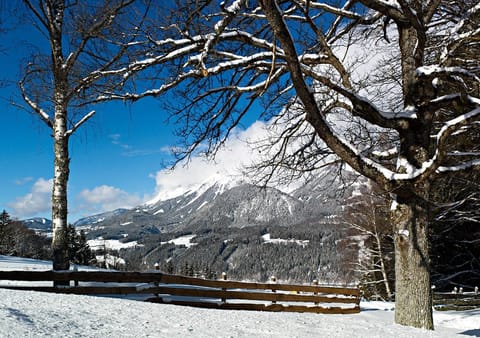 Off site, Winter, Skiing, Skiing, Hiking, Hiking, Mountain view, Family