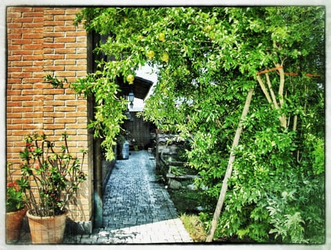 La Corte del Macero Country House in Emilia-Romagna