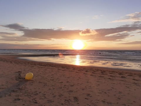 Appartement Studio Wenduine Apartment in De Haan