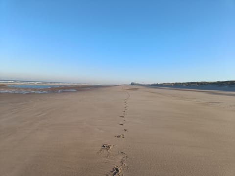 Appartement Studio Wenduine Apartment in De Haan