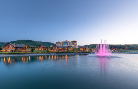 Lake view