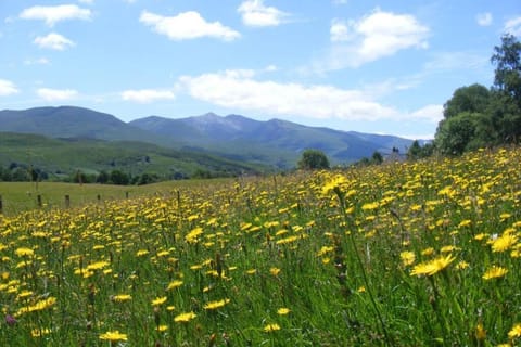 Cul Darach Lodge, Glen Roy Nature Reserve House in Scotland