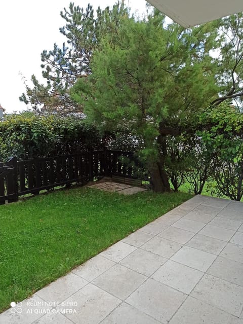 Natural landscape, Garden view