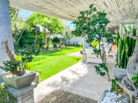 Garden view
