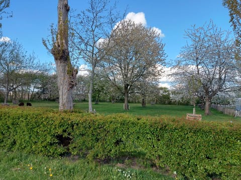 Bij grenspaal 243 Chalet in North Brabant (province)