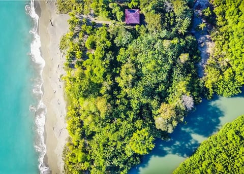 Bird's eye view, Garden, Beach, River view