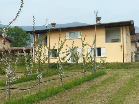 Property building, Spring