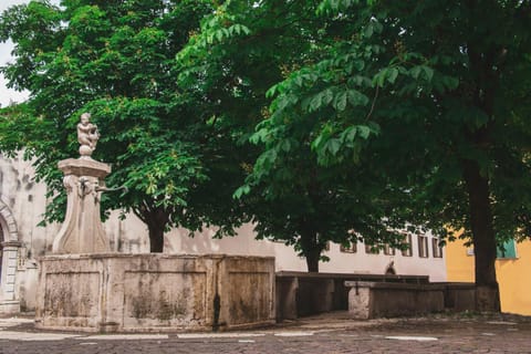 B&B Alessandro Bed and Breakfast in Trentino-South Tyrol