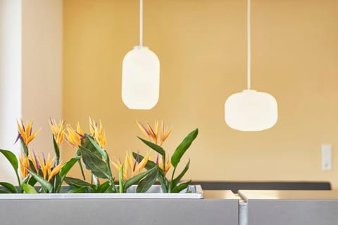 Glücksferien- Sonnenhut Apartment in Glücksburg