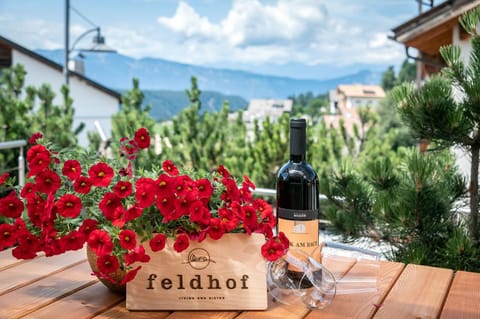 Apparthotel Feldhof - Living and Bistro Apartment hotel in Trentino-South Tyrol