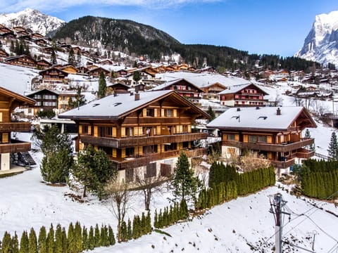 Property building, Bird's eye view, Winter