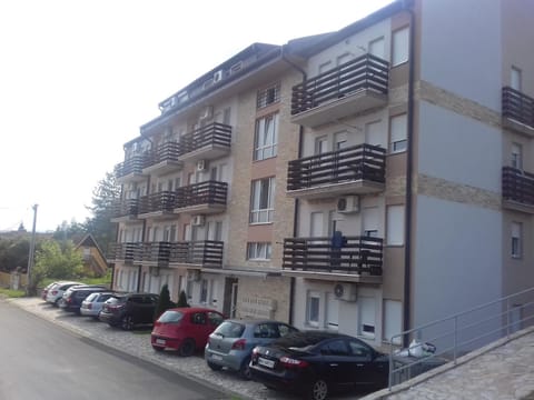 Apartman Sky Banja Vrujci Apartment in Serbia