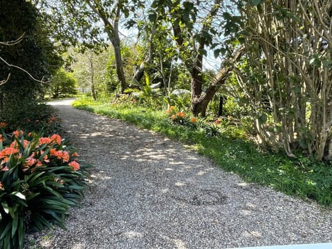 Pa Road B&B Kerikeri NZ Bed and Breakfast in Northland