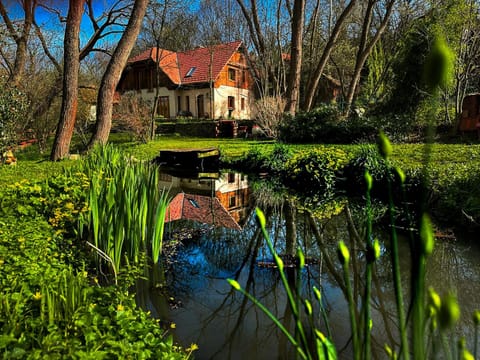 Spring