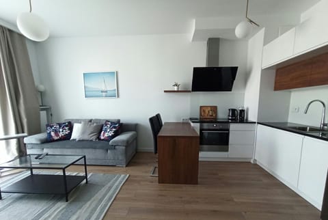 TV and multimedia, Kitchen or kitchenette, Living room, Seating area, Dining area