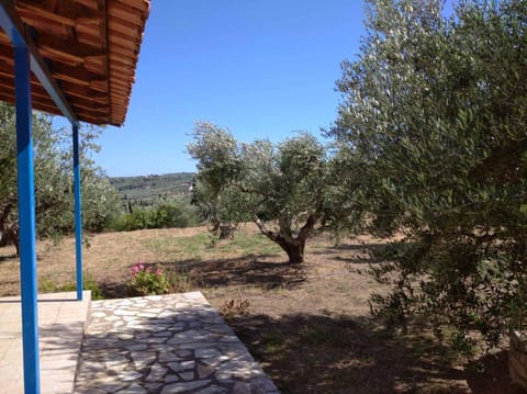 Aggeliki House 3 House in Messenia