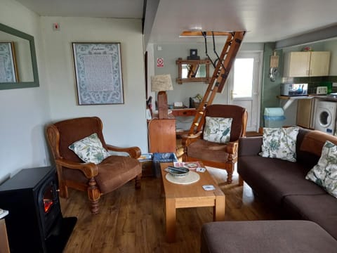 Laugharne Cottage Golwg Harddwch Apartment in Laugharne