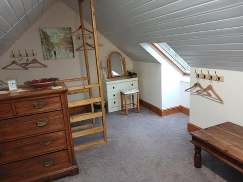 Laugharne Cottage Golwg Harddwch Apartment in Laugharne