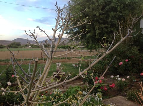 Laasteskof - The end of the road House in Western Cape