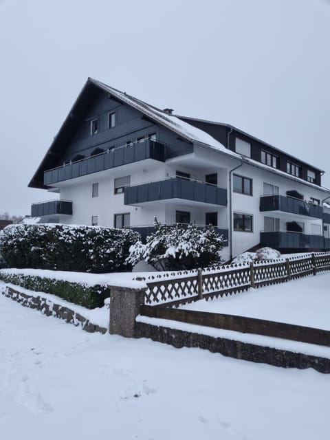 Property building, Winter