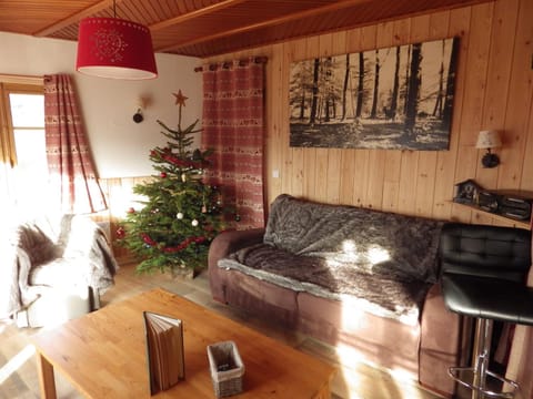 Chalet Le rustique vue sur le lac Chalet in Gérardmer