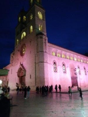 Le camelie Apartment in Altamura