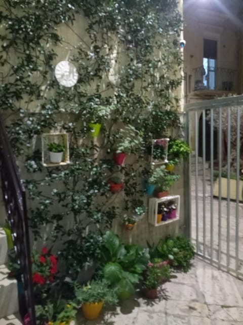 Le camelie Apartment in Altamura