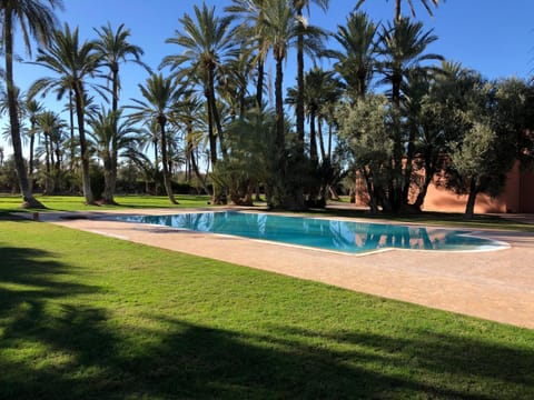 Garden, Pool view, Swimming pool