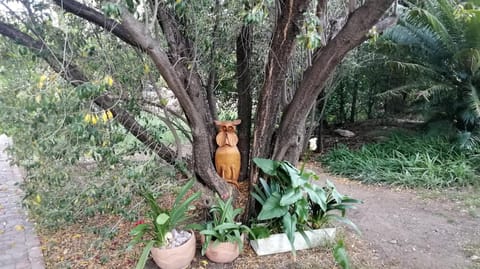 Spring, Day, Garden, Decorative detail