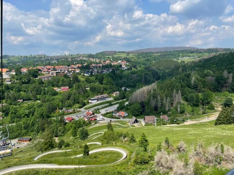 Neighbourhood, Bird's eye view