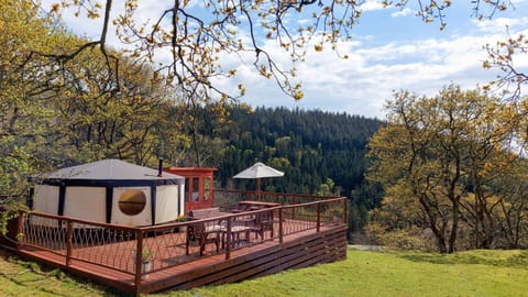 Cae Mawr Yurt Off-Grid Glamping Luxury tent in Wales