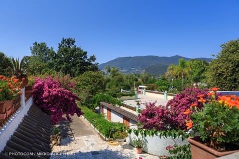 Spring, Facility for disabled guests