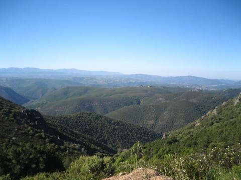 Natural landscape