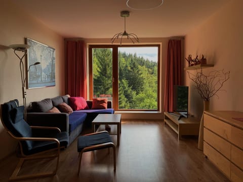TV and multimedia, Living room, Seating area, City view, Mountain view