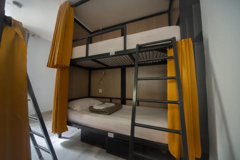 Bed, Photo of the whole room, Bedroom, bunk bed