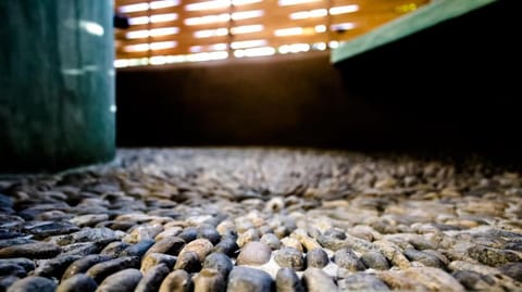 Posada Nuuna Mazunte Inn in State of Oaxaca