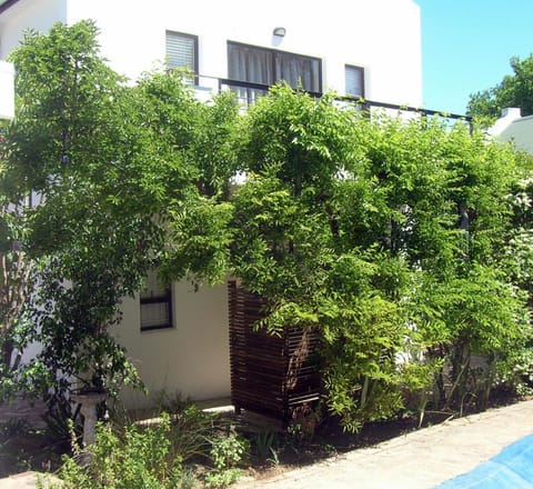 16 Rhodes-North Self Catering Apartment & Studio Apartment in Stellenbosch