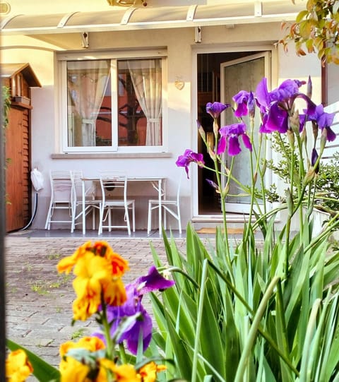 Property building, Garden, Garden view, Garden view