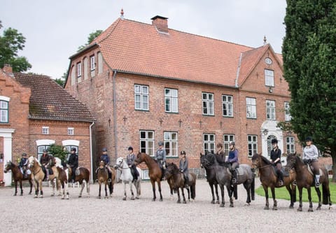 Property building, Facade/entrance, Horse-riding, Animals, Pets, Sports