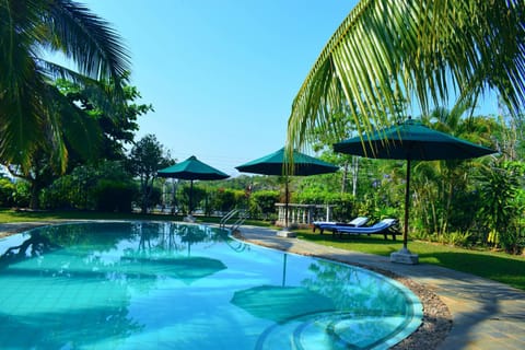Garden view