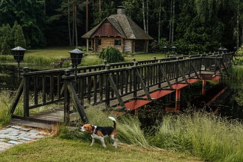 Facade/entrance, Summer, Pets, Lake view
