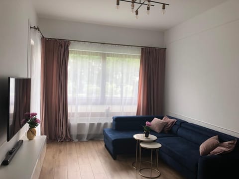TV and multimedia, Living room, Seating area, Evening entertainment