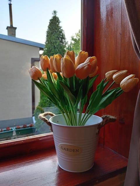 Apartman IVANA Apartment in Vojvodina