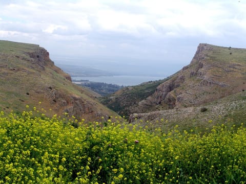 Natural landscape