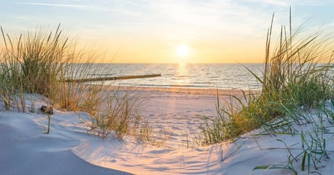Appartement im Dünengarten Apartment in Kühlungsborn